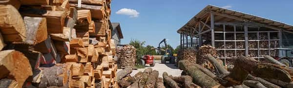ofenfertiges Brennholz Buche 30 cm trocken