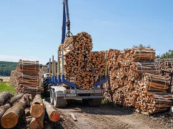 Wie trockne ich Brennholz richtig 