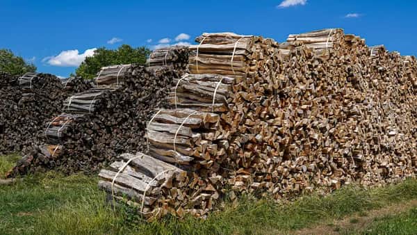 Brennholz in Blaubeuren kaufen - ofenfertig, trocken oder frisch geliefert 