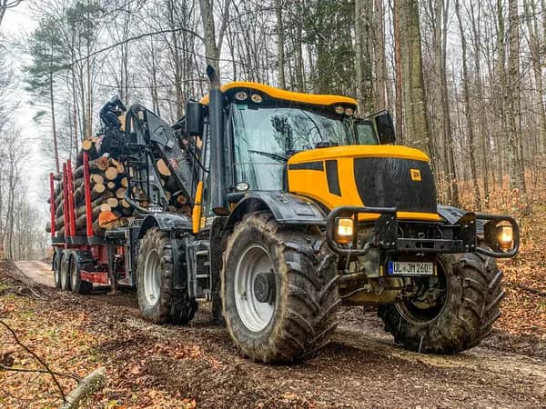 Brennholz aus nachhaltiger Forstwirtschaft Baden-Württemberg