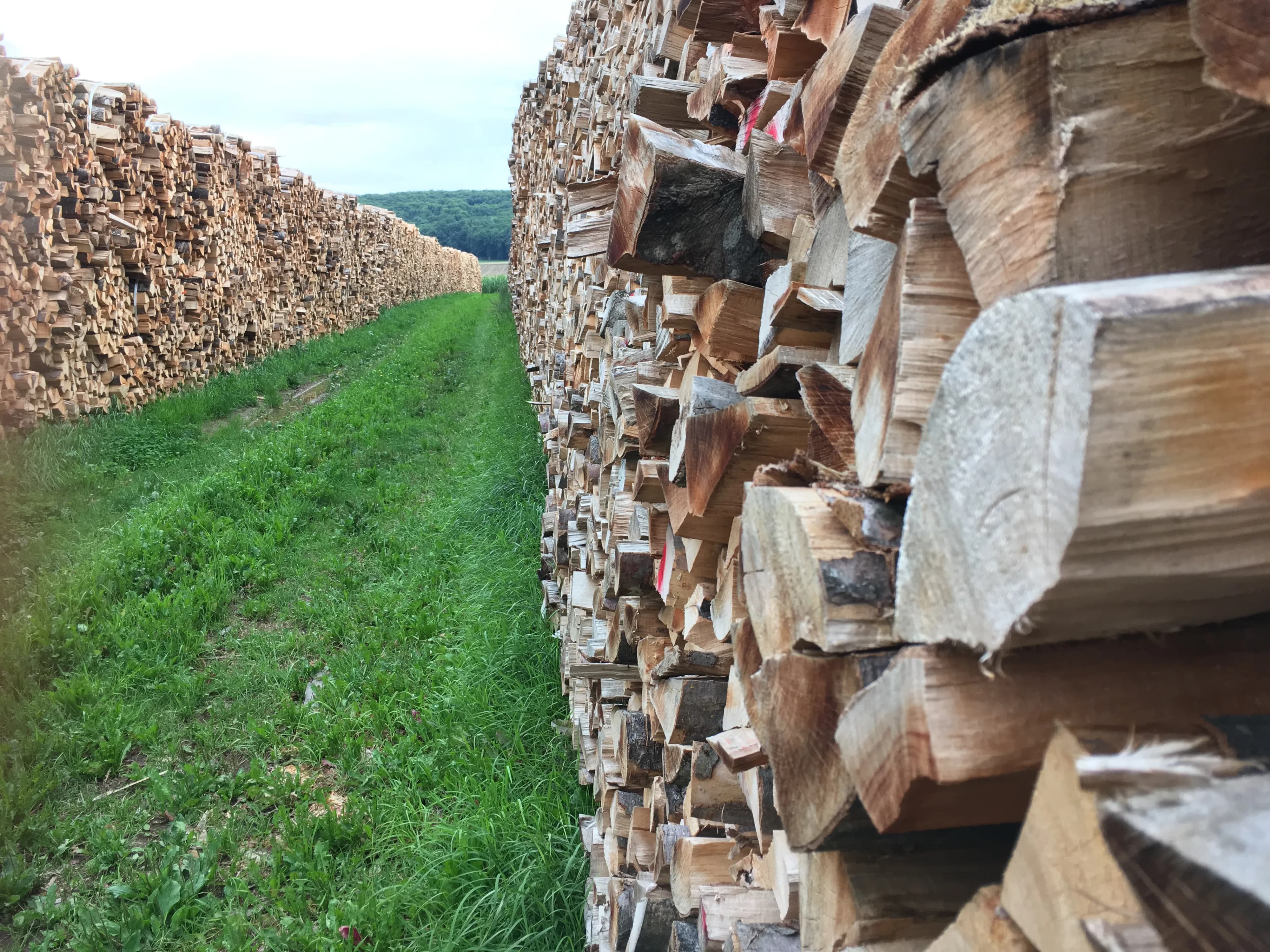 Brennholz in Senden kaufen - ofenfertig trocken oder frisch geliefert 5
