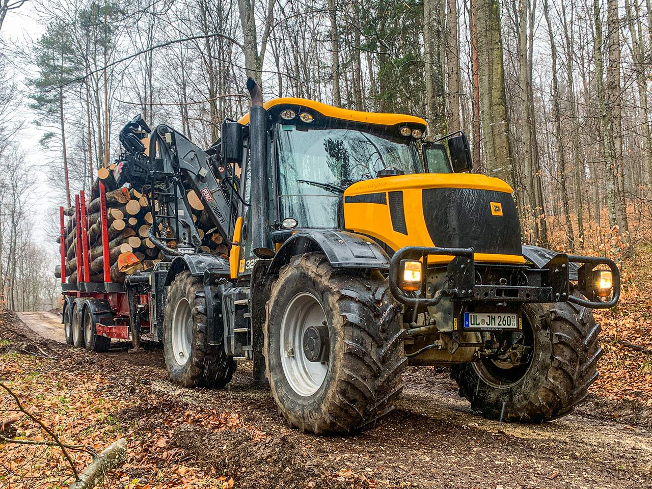 Brennholz aus nachhaltiger Forstwirtschaft Baden-Württemberg