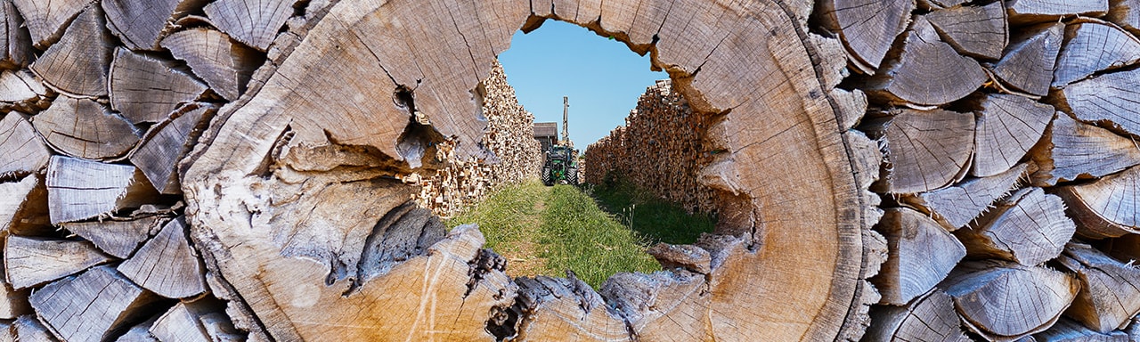 Ofenfertiges, trockenes Brennholz – direkt aus Ihrer Region!